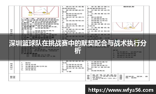 深圳篮球队在挑战赛中的默契配合与战术执行分析