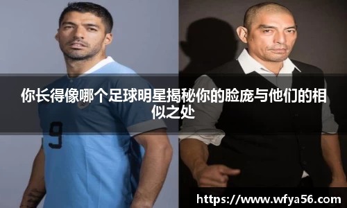 k1体育-十年品牌